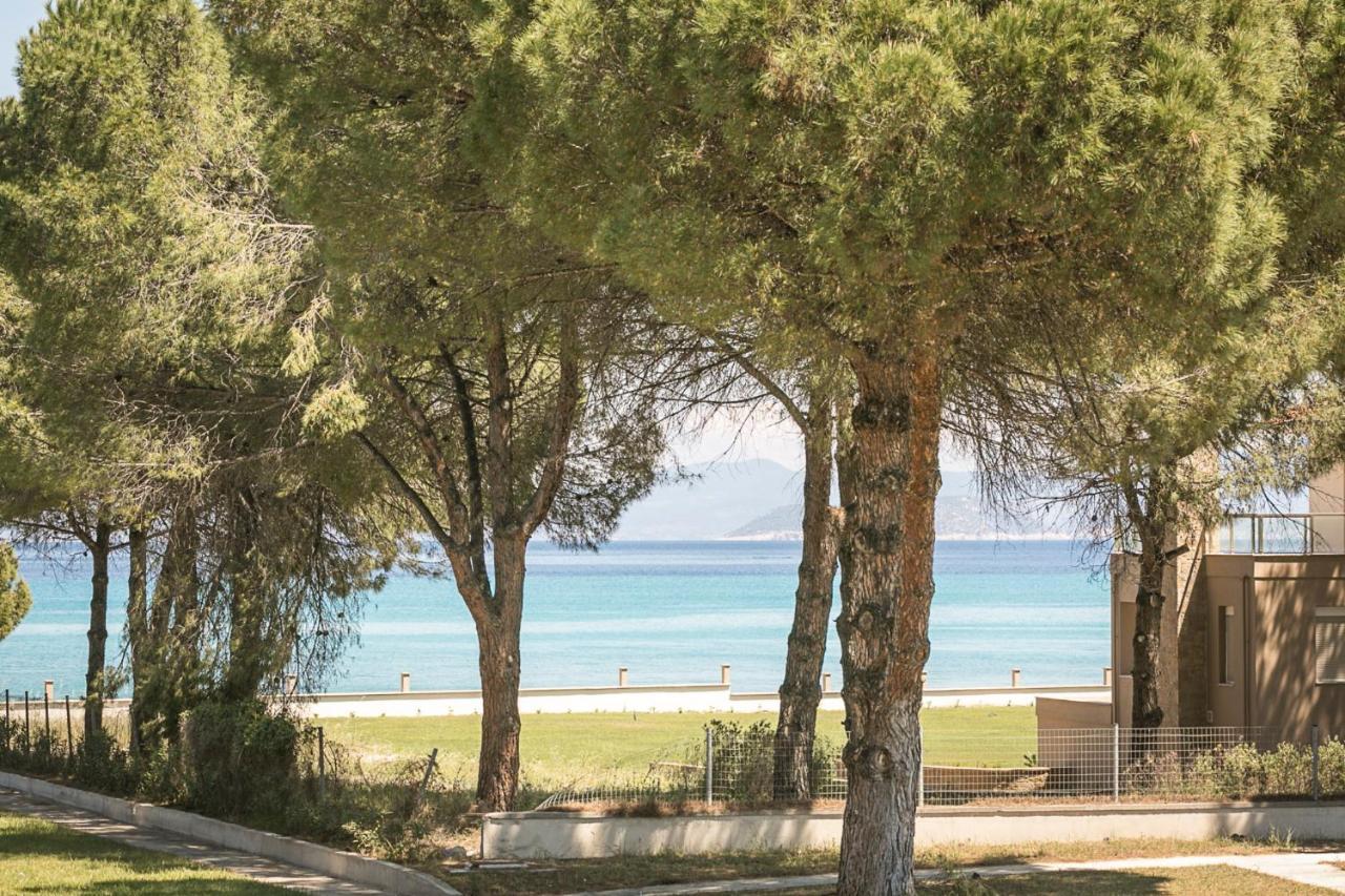 #Flh - Amalthia & Αthena Beachfront Houses In Pefkohori Екстериор снимка